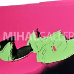 Andy Warhol originály - Hrušky